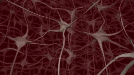 Neuronas-Cerebro-Mente-Axón-Pensamiento-Red-Neuronal-Dendrita-Célula-Salud-Ciencia-4k